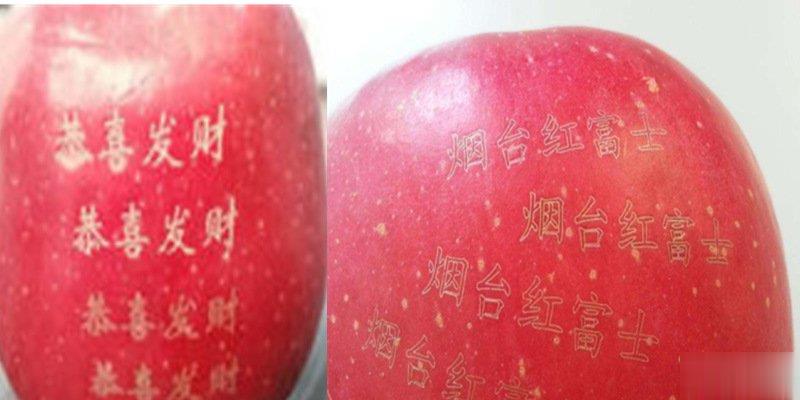 激光打标机在水果上是怎么打标的呢？